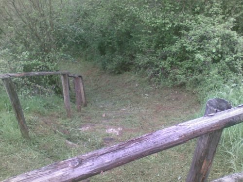 pulizia-sentieri-caprino-bergamasco-24-04-2010-13