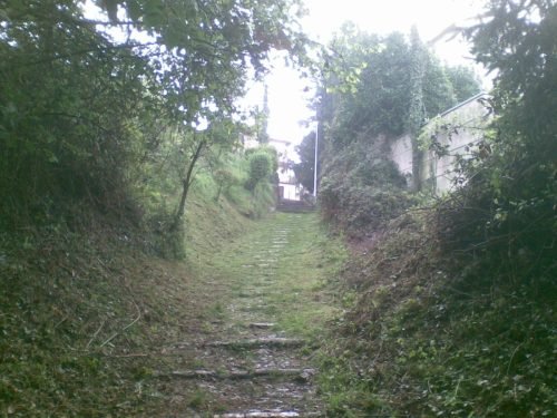 pulizia-sentieri-caprino-bergamasco-24-04-2010-3-1