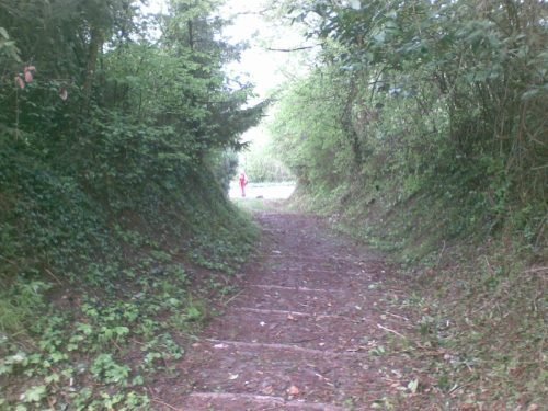 pulizia-sentieri-caprino-bergamasco-24-04-2010-4