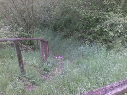 pulizia-sentieri-caprino-bergamasco-24-04-2010-8