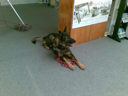 reas-salone-dellemergenza-2008-montichiari-12-1