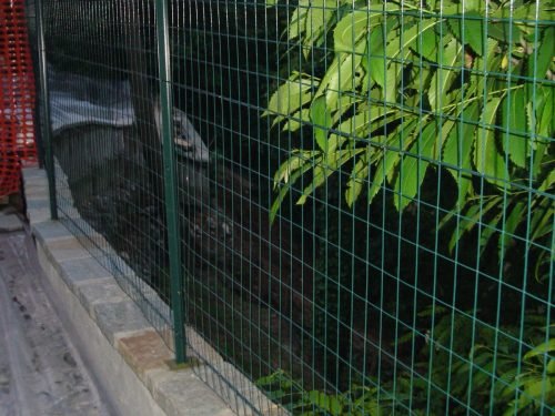 smottamento-a-opreno-18-05-2008-3-2