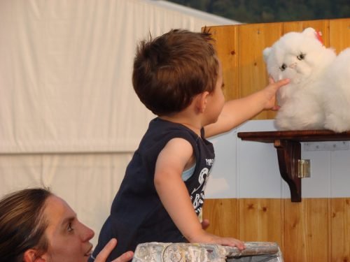 volontari-per-un-giorno-edizione-4-27-06-2010-3