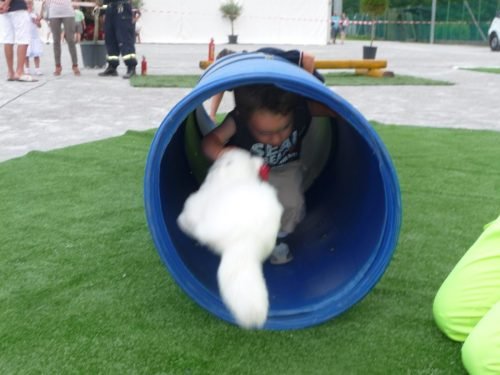 volontari-per-un-giorno-edizione-4-27-06-2010-58