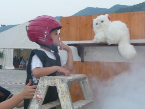 Volontari per 1 giorno 2010