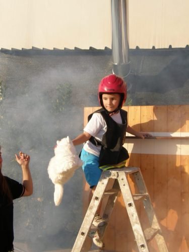 OLYMPUS DIGITAL CAMERA